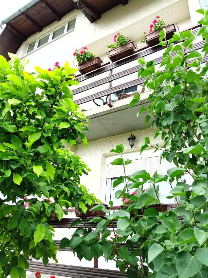 Apartman Kod Dide I Bake Vukovar Eksteriør billede